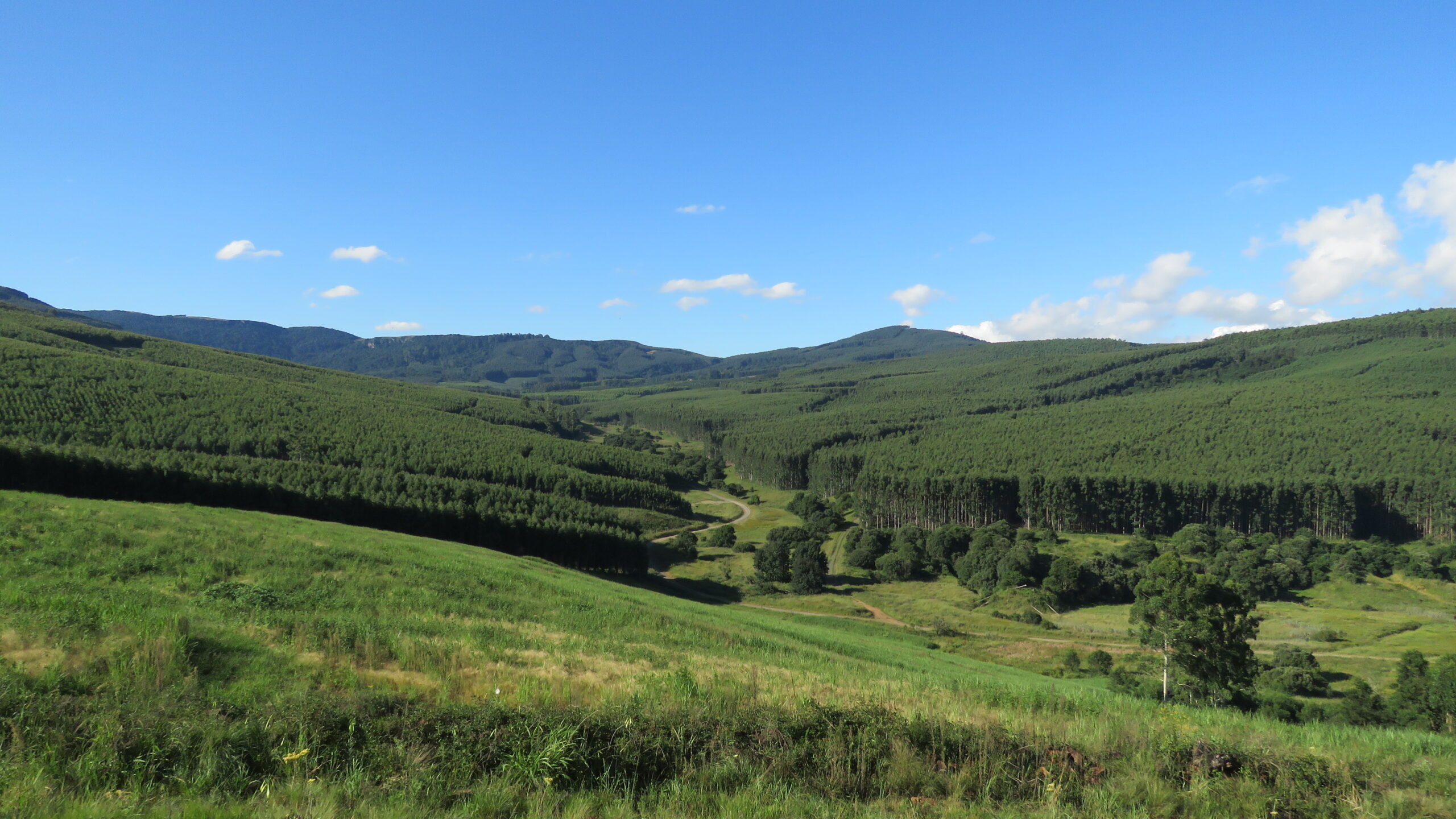 [Live Webinar] <strong> Agricultural Carbon Credits in South Africa