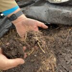 Digging Deeper: Soil’s Vital Role in Combatting Climate Change