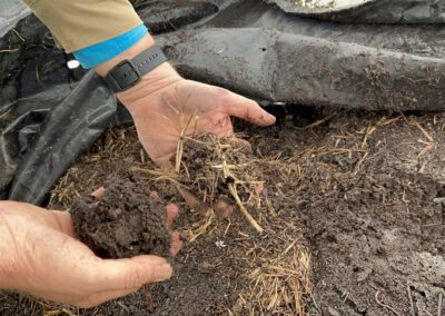 Digging Deeper: Soil’s Vital Role in Combatting Climate Change